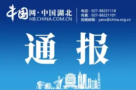 参与“带彩”娱乐！咸宁3名党员干部被通报图片