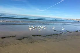 我的 奶奶图片