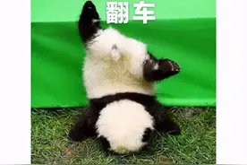 老戏骨也来搞游戏？原以为又一国产爆款，结果上架翻车好评仅33%图片