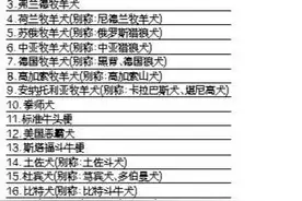 《合肥市养犬管理条例》6月1日起正式实施图片