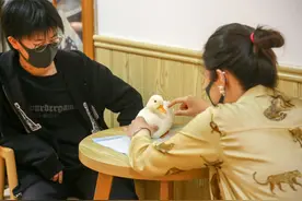 猫咖、狗咖、鸭子咖……咖啡馆为啥热衷引进宠物？郑州一95后女店长道出原因图片