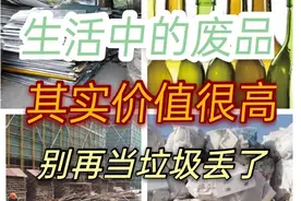 你随手丢的垃圾，也许是很有价值的东西，可惜识货的人不多图片