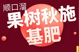 果树秋施基肥顺口溜！必看图片