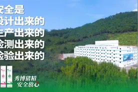 秀博猪精的安全，是扬翔25万头母猪检验出来的图片