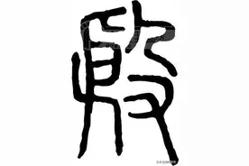 山东枣庄地区郗山殷氏家族溯源图片
