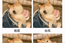 深夜楼下吵架，我爸和狗一秒起床看热闹…图片