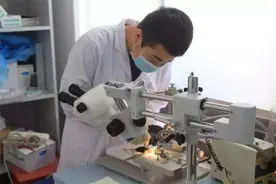 感觉“理科生”已经把“文科生”打击得毫无还手之力，是这样么？图片