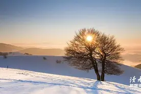 冬天里最浪漫的10件小事图片