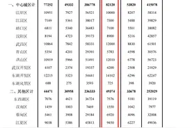 武汉名初招生、2020名初生源解析！这些小学“中签率”更高图片