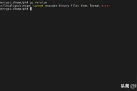 Raspberry Pi 安装 go 后提示错误 Exec format error图片