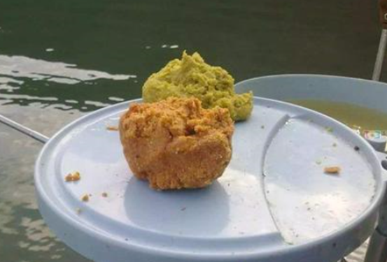 钓鱼饵料有讲究，荤素搭配，植物提取如何配比掌握好用料是关键