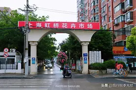 上海的花卉市场都藏在这里 逛一圈就能够元气满满图片