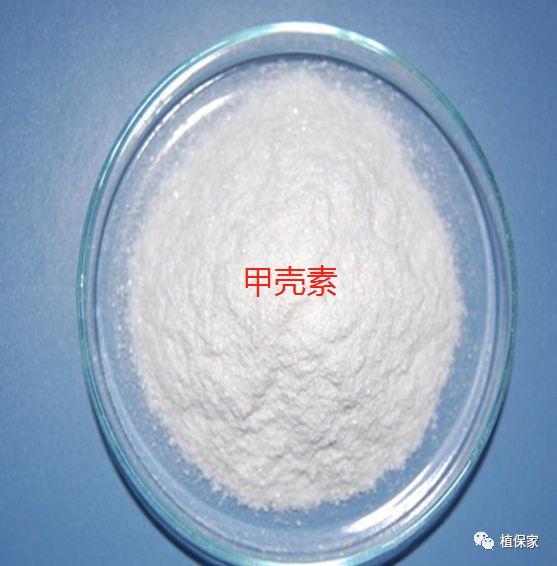 腐殖酸、海藻酸、甲壳素、鱼蛋白、氨基酸，性能作用真的不一样