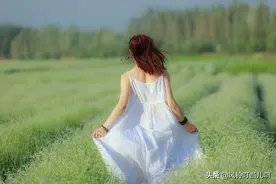 79年“小姑娘”征婚帖子火了！看她对男友的要求，怕不是在做梦吧图片