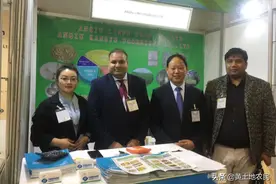至欧洲的生姜出口价格逐渐下滑 当前价位基本与去年同期持平图片