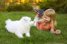 四年级下册《快乐读书吧》：课外阅读书目推荐+语文考点知识总结图片