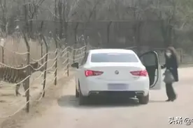 北京一女子擅自在动物园猛兽区下车，与老虎仅隔数米！园方回应图片