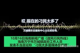 正观·话题2020之九：海南一官员称百姓“刁民”图片