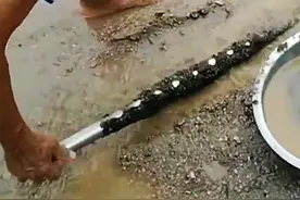 这人在海边“撸铁”，一天就赚上百？官方：违法！可罚3万图片