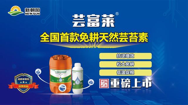 冲施必备，一步到位！这款冲施好搭档，绝对让你效果翻倍