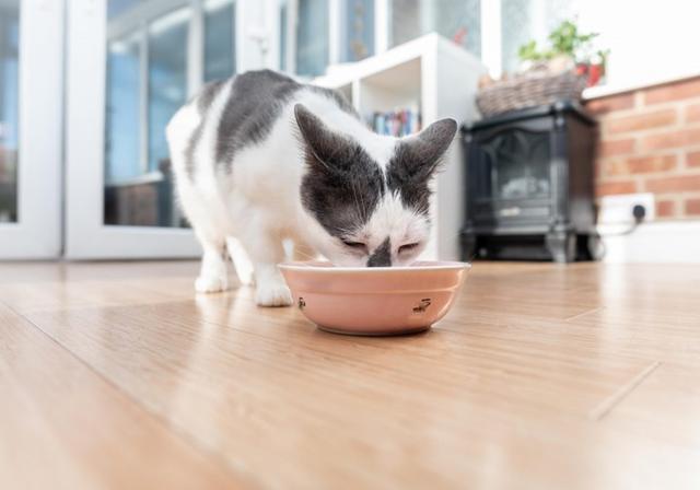 鐖辩尗琛ュ厖鐗涚：閰搁€斿緞澶氭牱锛屼絾閾插睅瀹橀渶鐭ワ細楦¤泲鍠傞鍐嶅涔熸棤鏁? onerror=