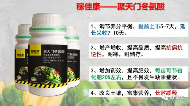 聚天门冬氨酸——氨基酸肥料中的王者