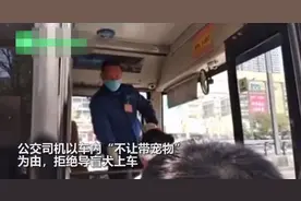 你下还是不下？上公交被拒，它趴在地上委屈地哭了！公交公司回应图片