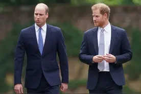 威廉要求弟弟先跟女王、查尔斯和凯特道歉再谈和好，哈里嗤之以鼻图片