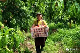 寻找平桥好产品 | 投票！为你最爱的家乡味道打call图片