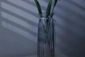 宁愿放手，也不挽留的星座：撒手就走，头也不回图片