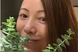 “傻女人”邓萃雯：本是大姐大，却要活成小女人图片