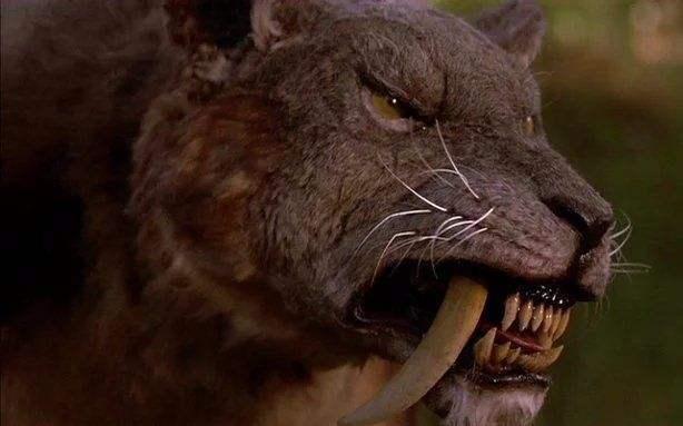 异剑齿虎(被称为一代天骄进化最成功的史前猫科动物) - 经验百科大全