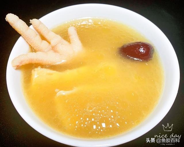 花胶竹笙煲白鸽的做法大全 竹笙炖花胶功效