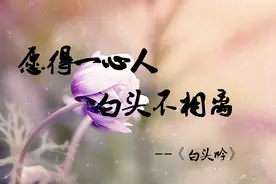 每日美文：诗词里那些令人羡慕的爱情图片