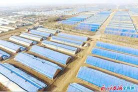 亩产值达4万元以上！临夏县食用菌产业增收效益显著图片