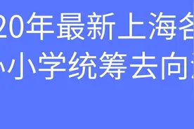 2020年最新上海各区公办小学统筹去向汇总图片