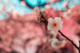 你爱的人爱不爱你，断联三天，心里就有答案了图片