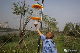 禹都公园有了太阳能驱蚊灯　“遇到蚊子，我不怕不怕啦”图片