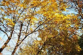 把期望降到最低，所有遇见都是惊喜图片