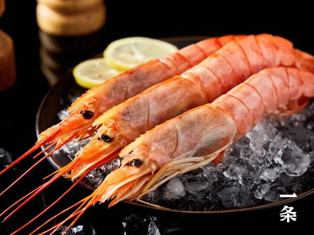 阿根廷红虾(比手掌还大的阿根廷红虾) - 千层楼