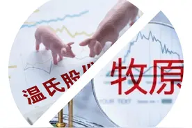 杀红眼！牧原、温氏、正邦、新希望出手，2200万头猪挤压猪价图片