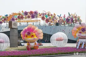 成都天府芙蓉园（一期）今年6月全面完工图片
