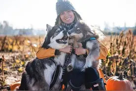 女子遭男友家暴，哈士奇忠诚护主也被打，从此携爱犬旅行已有5年图片