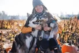 女子遭男友家暴，哈士奇忠诚护主也被打，从此携爱犬旅行已有5年图片
