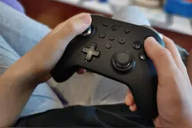 极其亲民Switch Pro手柄，谷粒金刚Pro图片