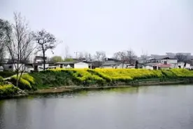 农村“新四害”，这四种动物数量变多，对粮食和庄稼危害大图片