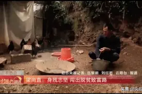 身残志坚“山鸡哥”，6年养鸡规模上万只，自食其力扔掉“贫困帽”图片