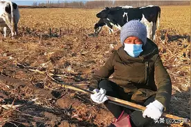 村妇泄私愤引发群内“骂战”被警方行政拘留5日图片