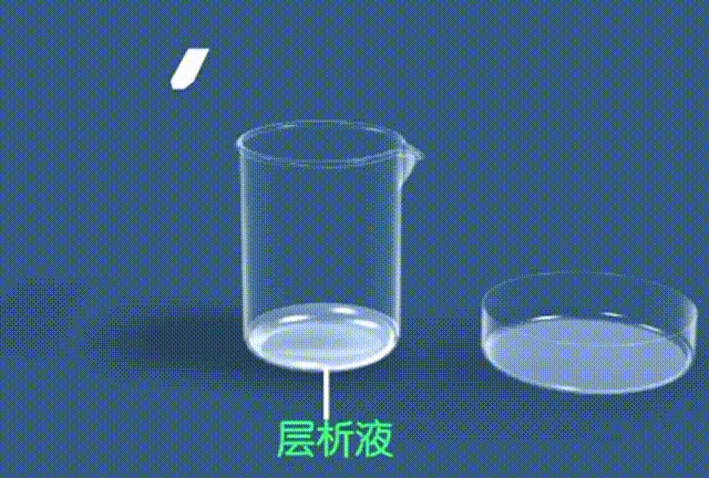 中学生物精美GIF动图来啦