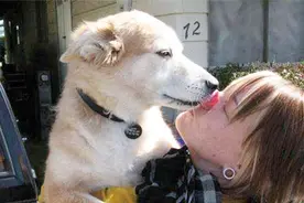 狗狗为什么喜欢舔人？喜欢舔你不要拒绝它，不然它会伤心！视频封面